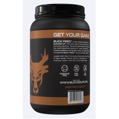 BUCKED UP, Buck Feed Original, PREMIUM протеин, вкус Шоколада, 1002 г (30 порций) 